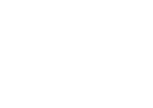 Primaran valkoinen logo